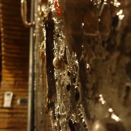 Domus31 - Luxury House In Trastevere